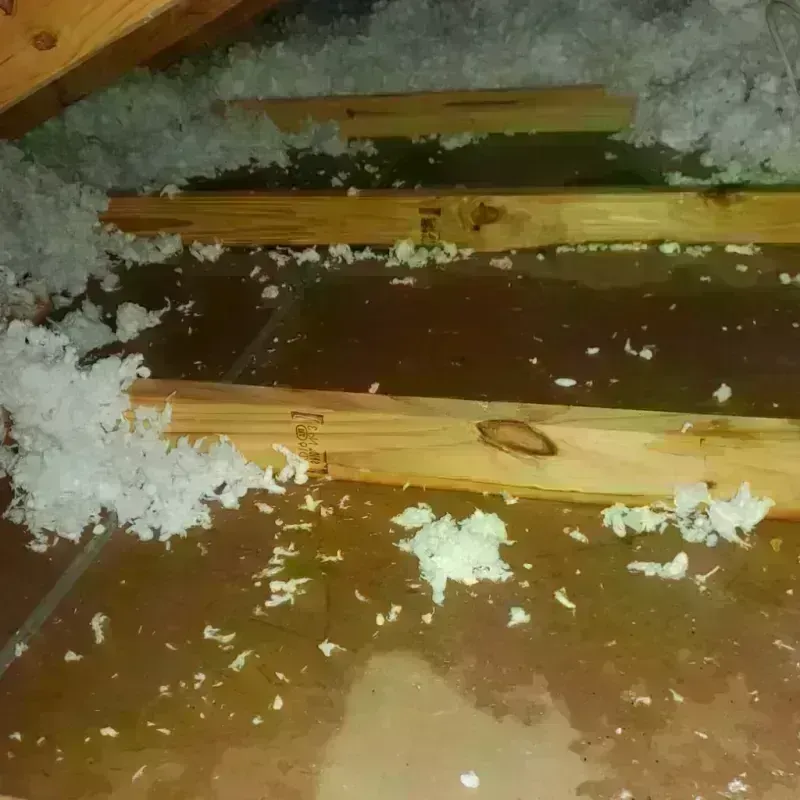 Attic Water Damage in Lyndeborough, NH